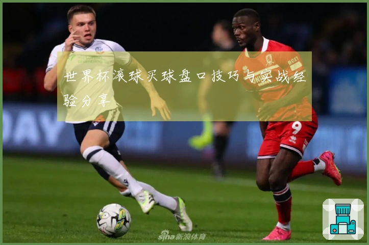 世界杯滚球买球盘口技巧与实战经验分享