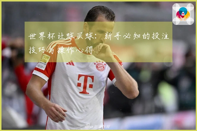 世界杯让球买球：新手必知的投注技巧与操作心得