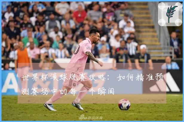 世界杯滚球观赛攻略：如何精准预测赛场中的每一个瞬间