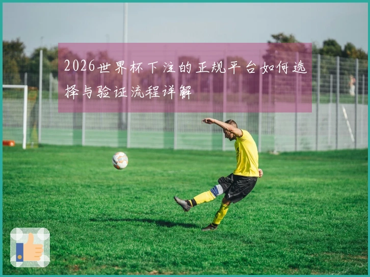 2026世界杯下注的正规平台如何选择与验证流程详解