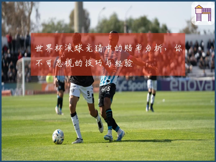 世界杯滚球竞猜中的赔率分析，你不可忽视的技巧与经验