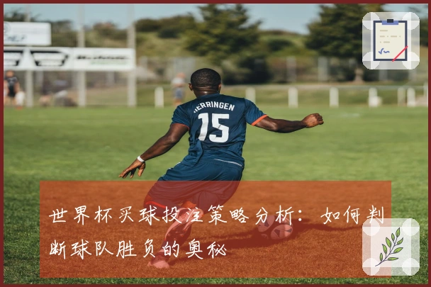 世界杯买球投注策略分析：如何判断球队胜负的奥秘