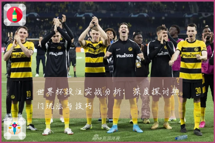世界杯投注实战分析：深度探讨热门玩法与技巧
