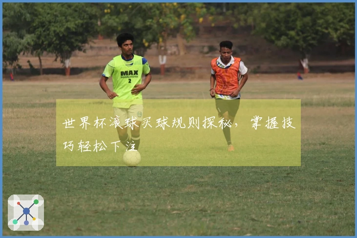 世界杯滚球买球规则探秘，掌握技巧轻松下注