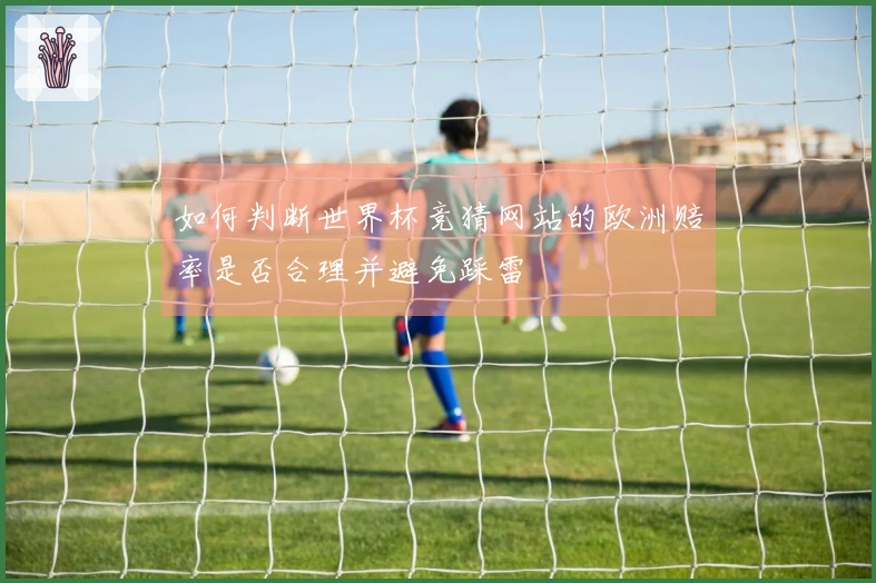 如何判断世界杯竞猜网站的欧洲赔率是否合理并避免踩雷
