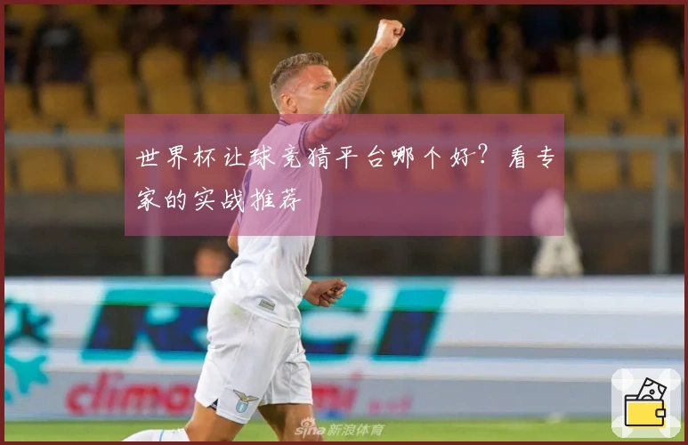 世界杯让球竞猜平台哪个好？看专家的实战推荐