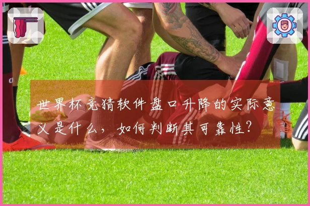 世界杯竞猜软件盘口升降的实际意义是什么，如何判断其可靠性？