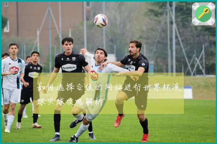 如何选择合适的网站进行世界杯滚球买球攻略解析