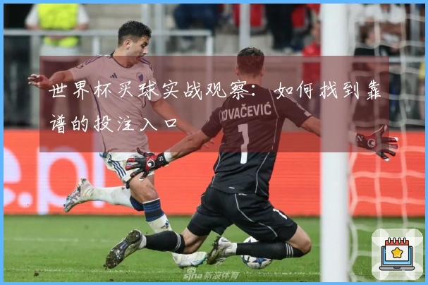 世界杯买球实战观察：如何找到靠谱的投注入口