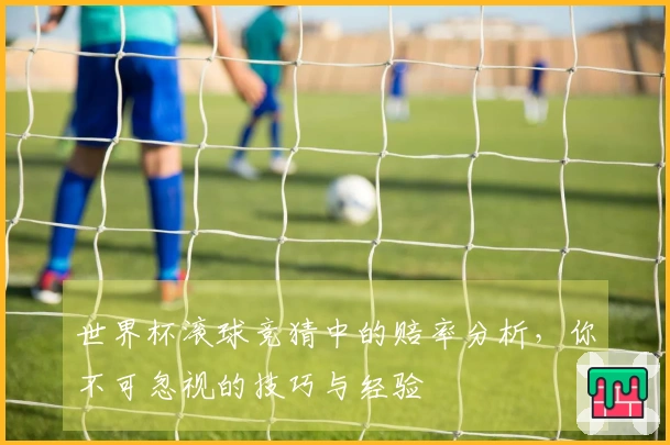 世界杯滚球竞猜中的赔率分析，你不可忽视的技巧与经验