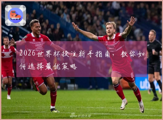2026世界杯投注新手指南，教你如何选择最优策略
