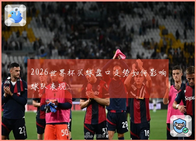 2026世界杯买球盘口走势如何影响球队表现