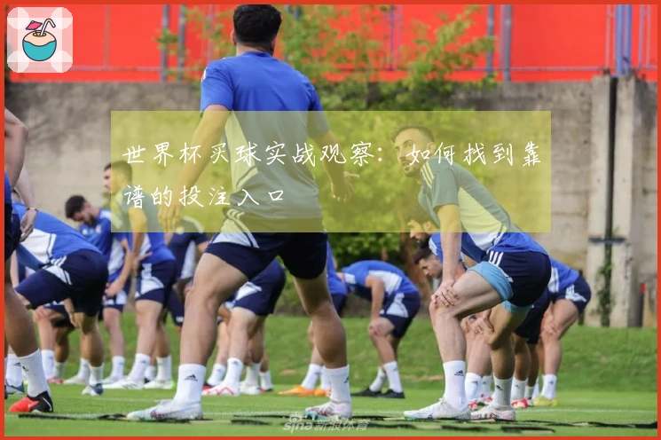 世界杯买球实战观察：如何找到靠谱的投注入口