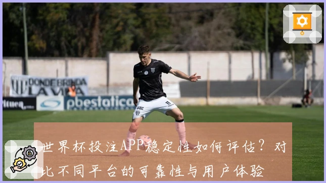 世界杯投注APP稳定性如何评估？对比不同平台的可靠性与用户体验