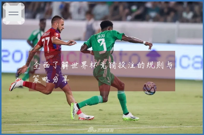 全面了解世界杯竞猜投注的规则与策略分享