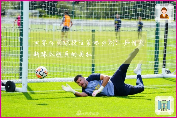 世界杯买球投注策略分析：如何判断球队胜负的奥秘